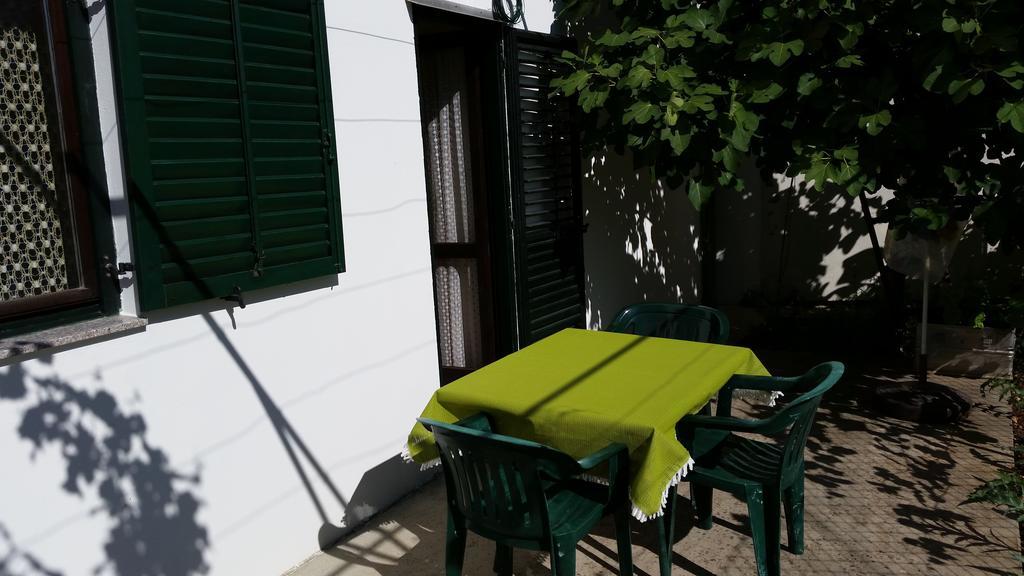 Apartments And Rooms Mirjana Bibinje Quarto foto